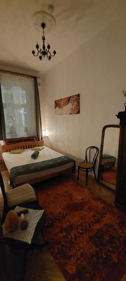 Classical Budapest Apartment In The Old Pest 外观 照片